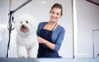 Dog groomer