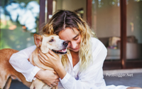 Dog sitter outro image