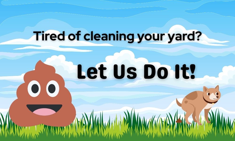 poop removal service